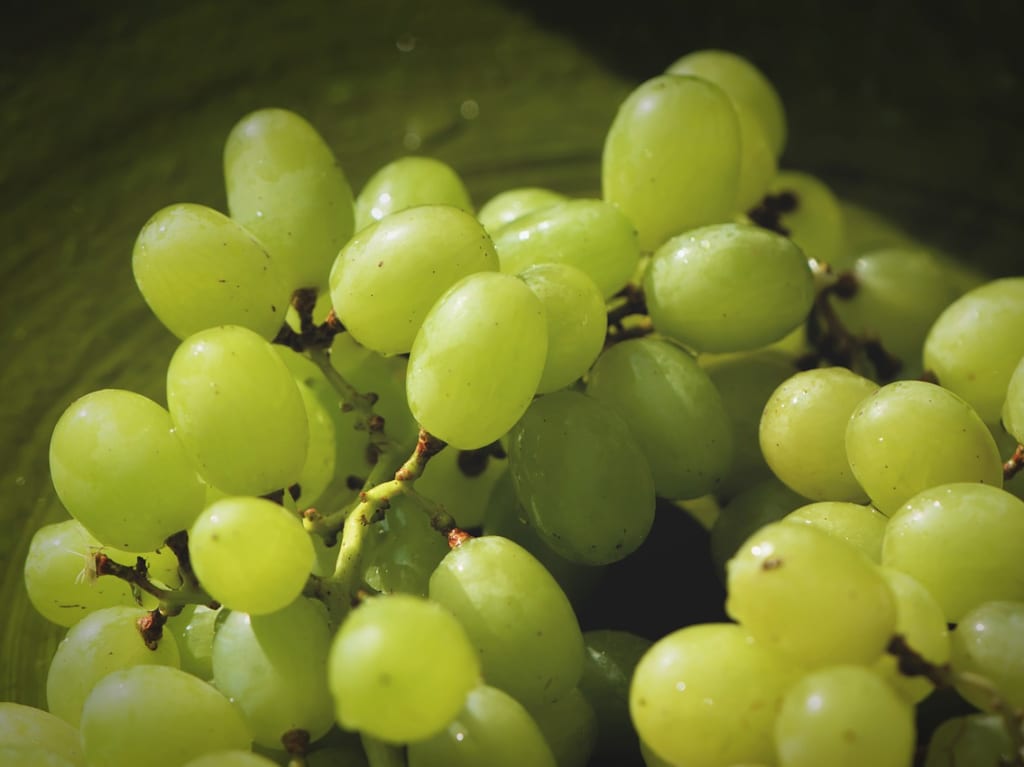 シャインマスカット